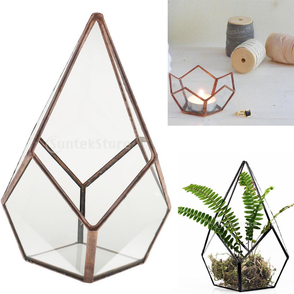 2 Pieces Glass Geometric Terrarium Succulent Plant Planter Jewelry Holder