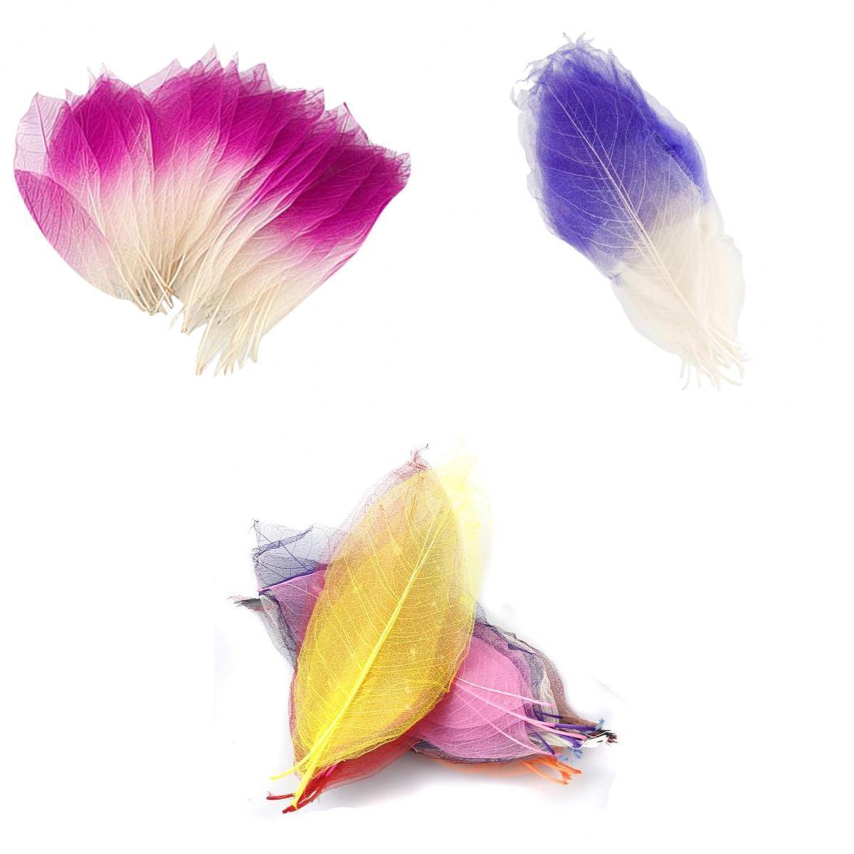 150pcs Natural Magnolia Skeleton Leaf Leaves for Card Making Scrapbooking