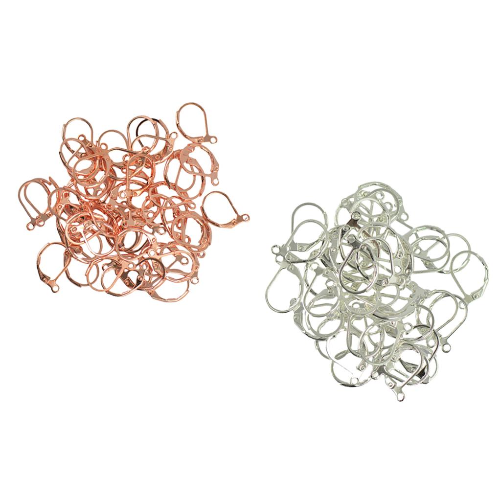 100Pcs Earrings Hook Ear Wire Earring Clip Ear Findings for DIY Earrings