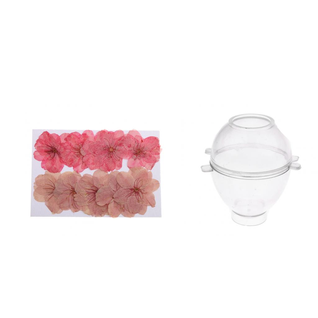 1 Set Egg Shape Candle Making Mould Sakura Dried Flower for Candle Making