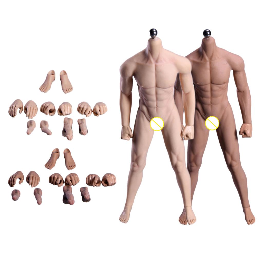 1/6 Super Flexible Male Seamless Body with Steel Skeleton Normal &Wheat Skin