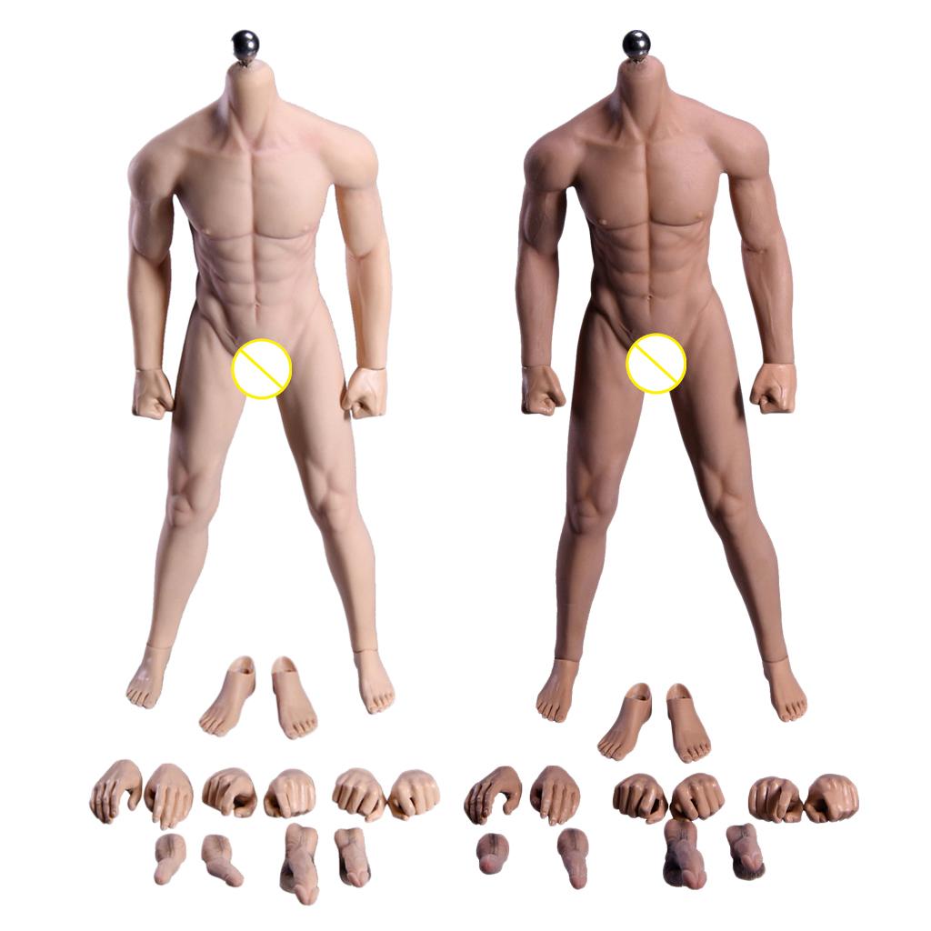 1/6 Super Flexible Male Seamless Body with Steel Skeleton Normal &Wheat Skin