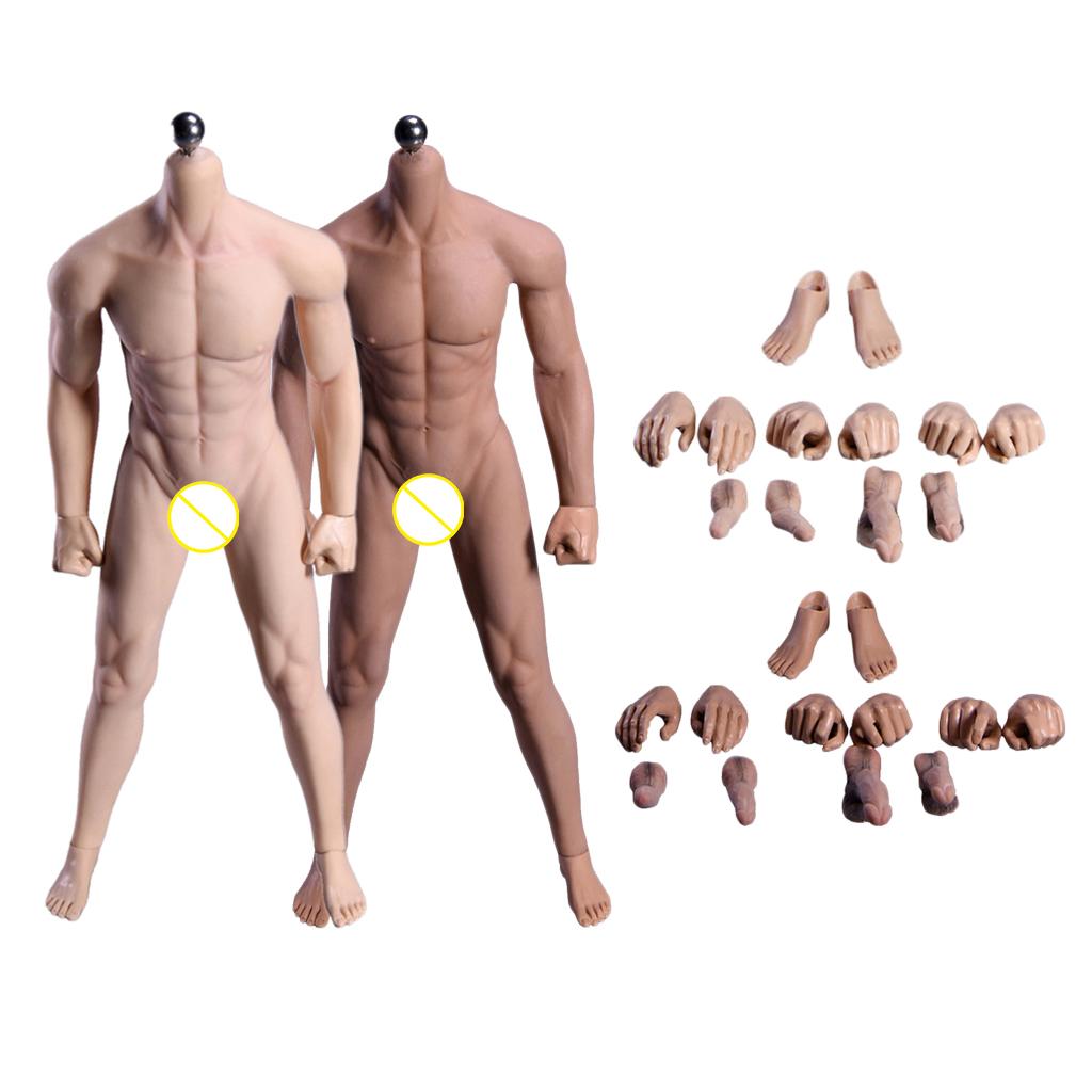 1/6 Super Flexible Male Seamless Body with Steel Skeleton Normal &Wheat Skin