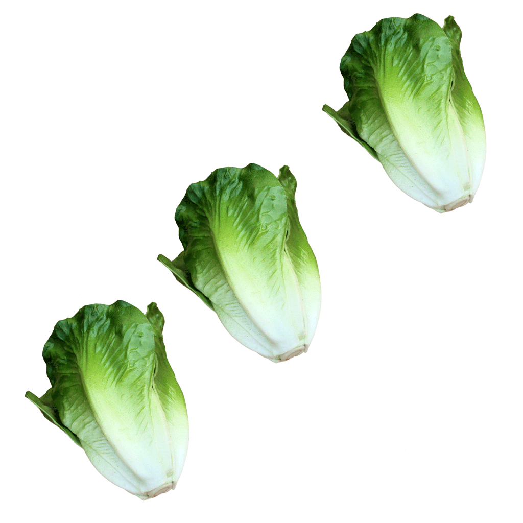 3Pcs Vivid Artificial Lettuce Imitation Food Home Store Cabinet Display