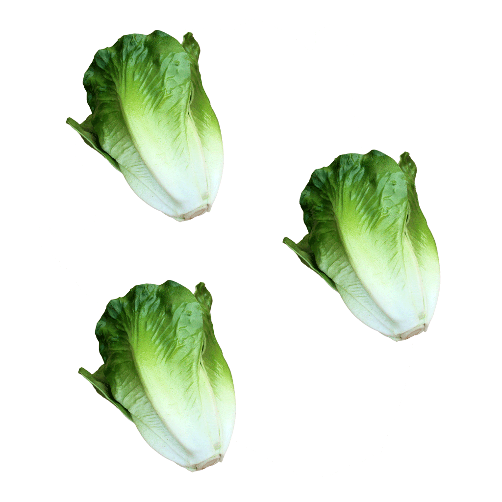 3Pcs Vivid Artificial Lettuce Imitation Food Home Store Cabinet Display