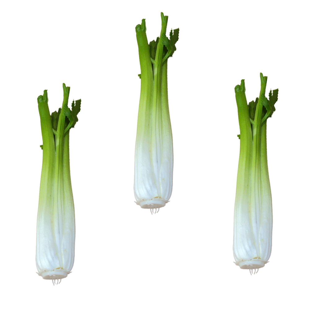 3Pcs Vivid Artificial Celery Toy Imitation Food Home Store Cabinet Display