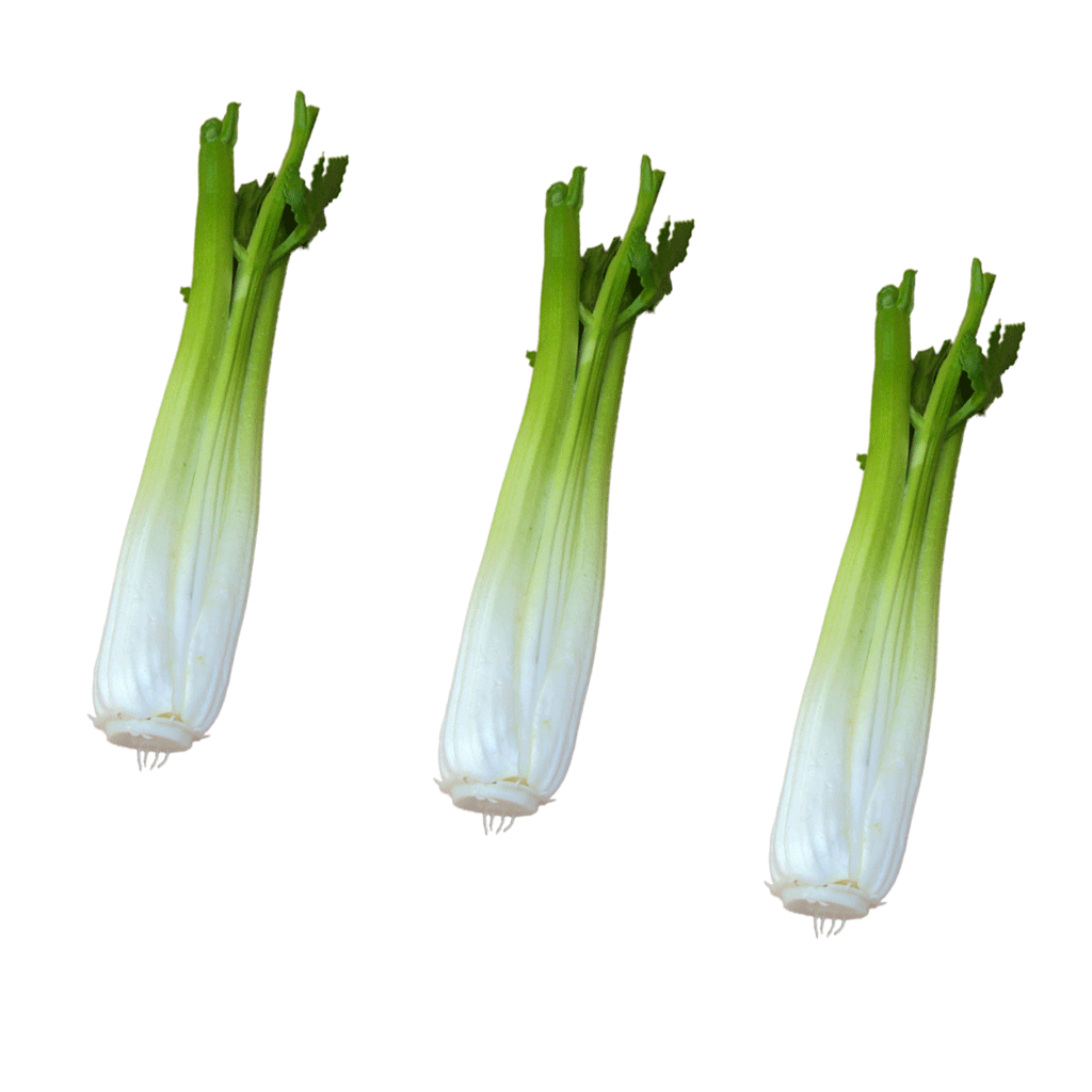 3Pcs Vivid Artificial Celery Toy Imitation Food Home Store Cabinet Display