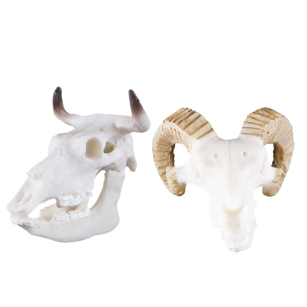 2Pcs Resin Goat Buffalo Skull Aquarium Ornament Reptile Terrarium Decor