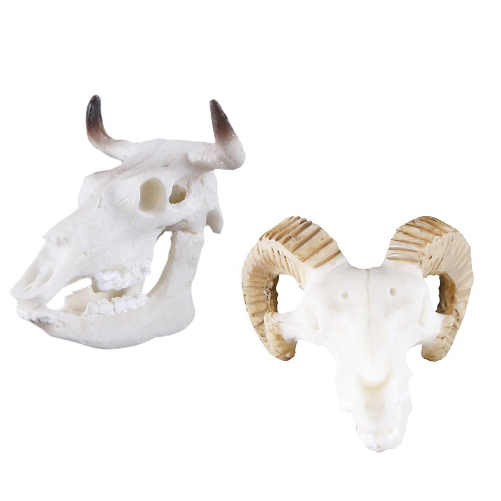 2Pcs Resin Goat Buffalo Skull Aquarium Ornament Reptile Terrarium Decor