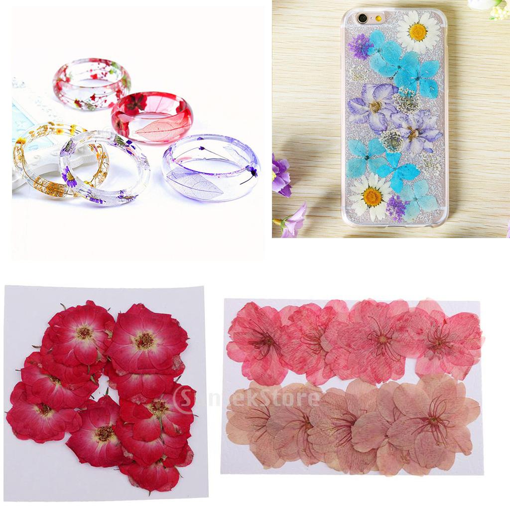 20 Pieces Mixed Pressed Dried Sakura Flowers Cherry Blossom Rose Flowers