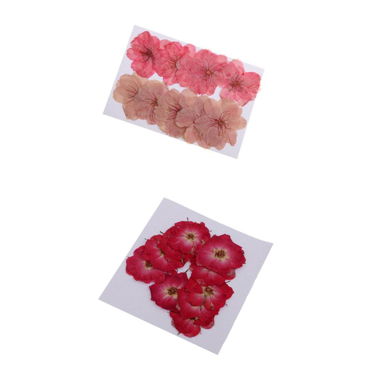 20 Pieces Mixed Pressed Dried Sakura Flowers Cherry Blossom Rose Flowers