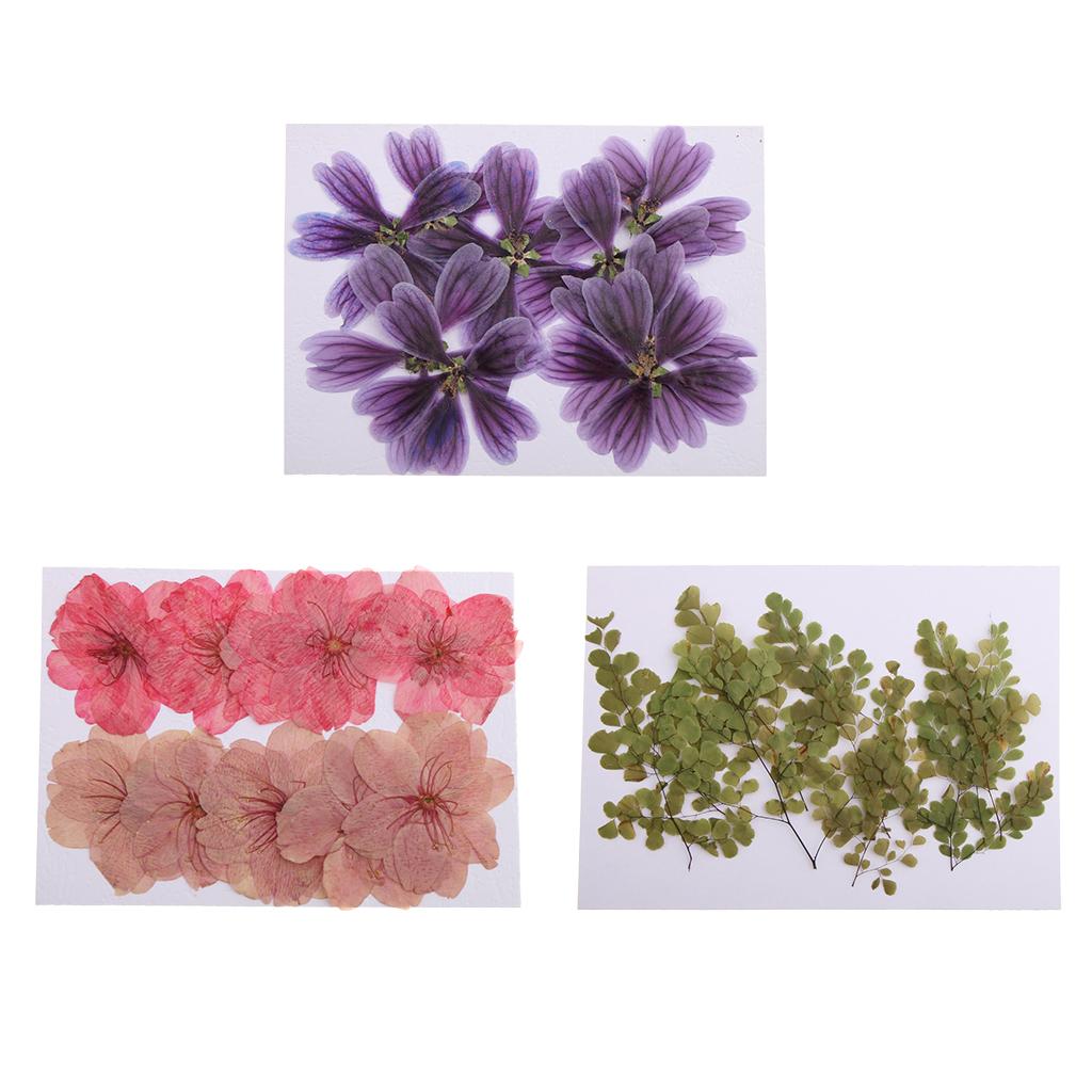 30 Pieces Mixed Natural Pressed Dried Flowers for DIY Card Making Art Crafts