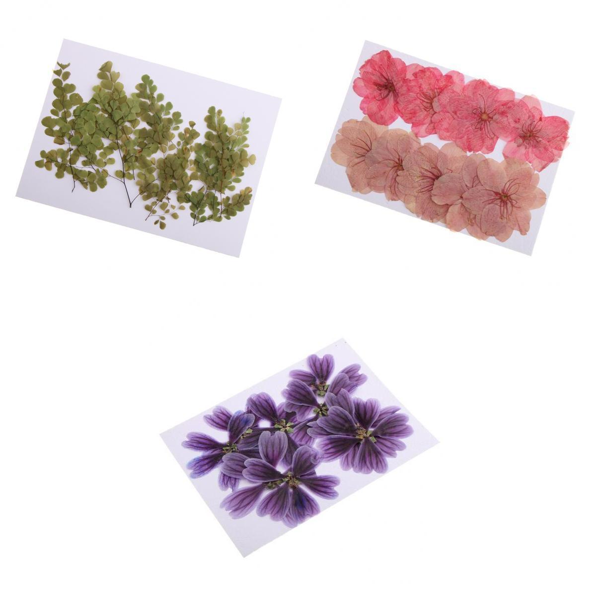 30 Pieces Mixed Natural Pressed Dried Flowers for DIY Card Making Art Crafts