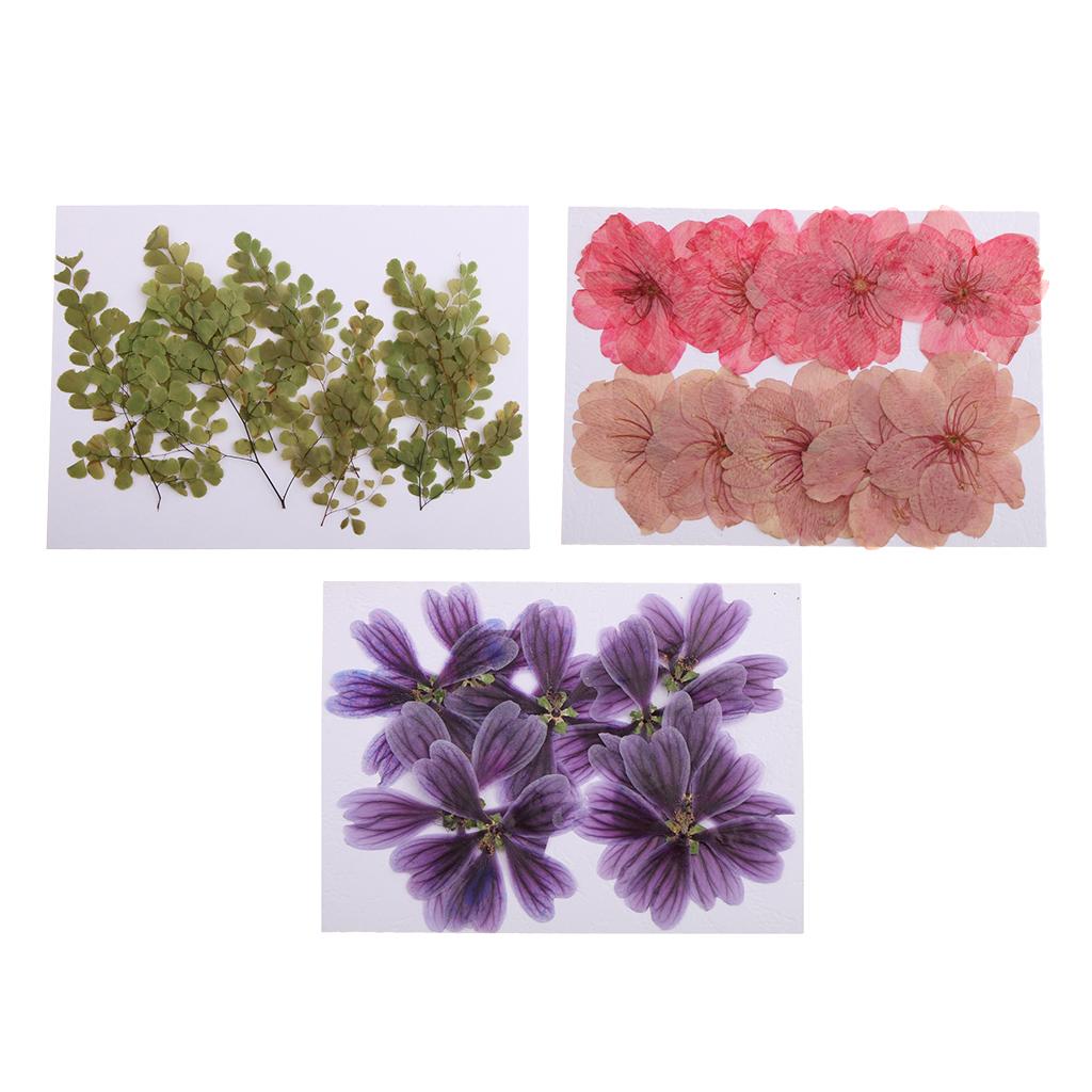 30 Pieces Mixed Natural Pressed Dried Flowers for DIY Card Making Art Crafts