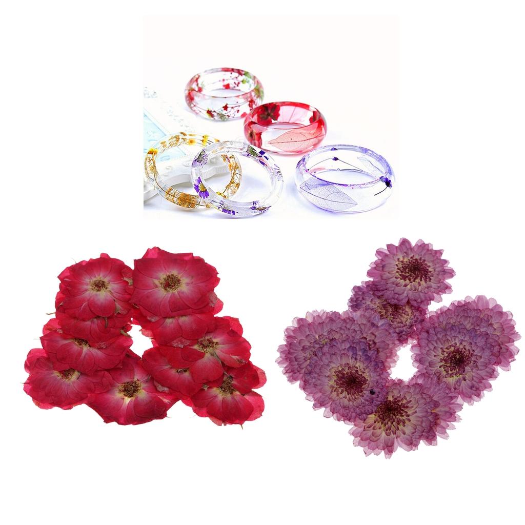 20 Pieces Pressed Dried Real Flower Purple Daisy & Red Rose for Card Making