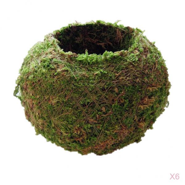 6 Pieces Creative Moss Ball Flower Pot Planter Bonsai Plant Holder Home 12cm