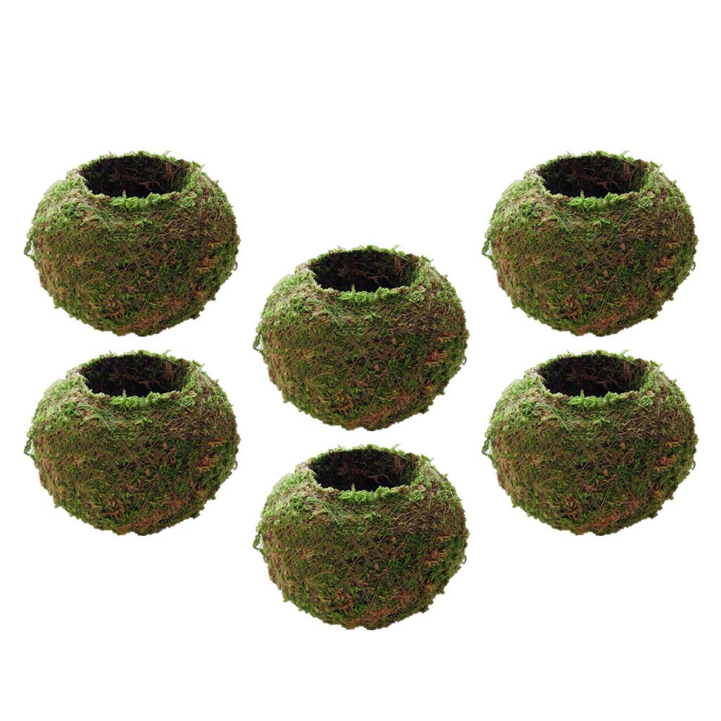 6 Pieces Creative Moss Ball Flower Pot Planter Bonsai Plant Holder Home 15cm