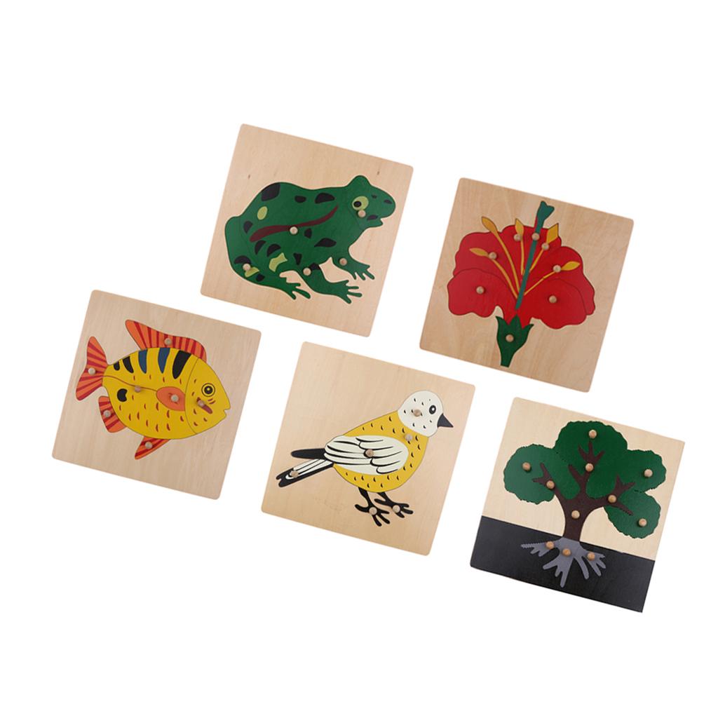 5 Sets Children Wooden Montessori Animal & Plant Peg Jigsaw Puzzle Toy