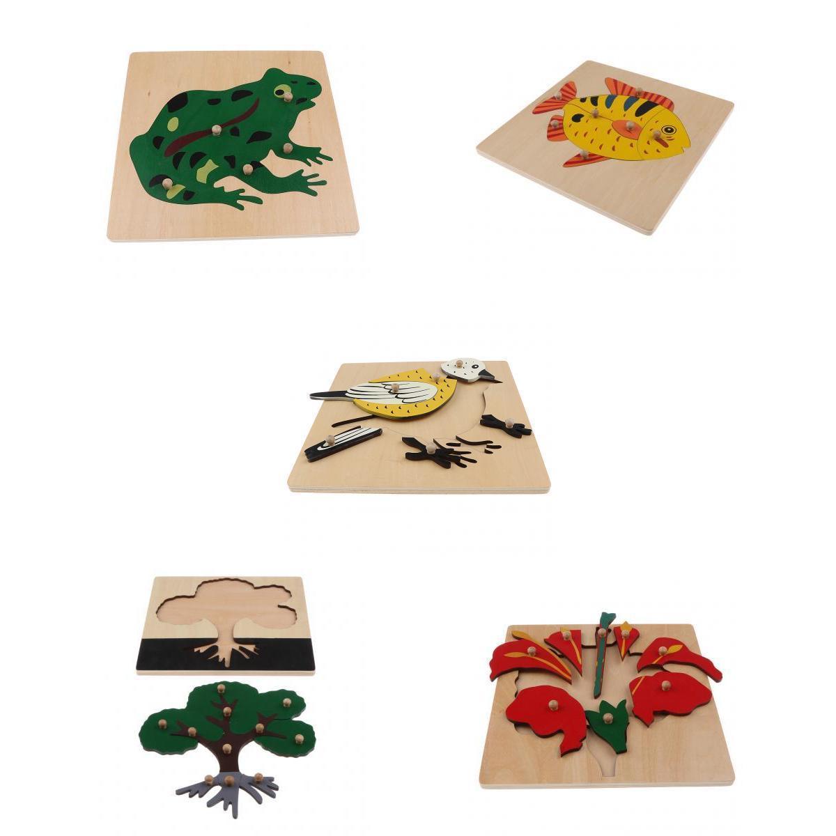 5 Sets Children Wooden Montessori Animal & Plant Peg Jigsaw Puzzle Toy