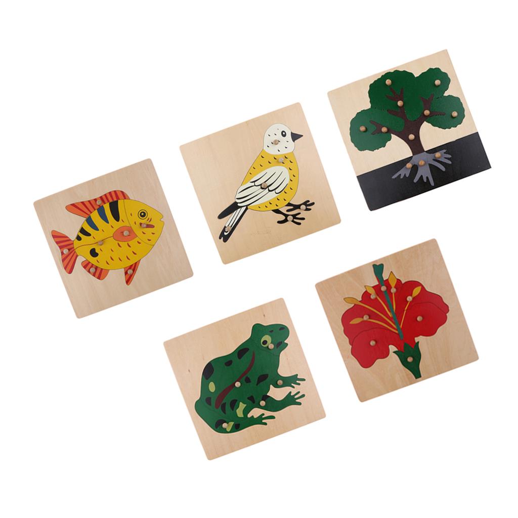 5 Sets Children Wooden Montessori Animal & Plant Peg Jigsaw Puzzle Toy