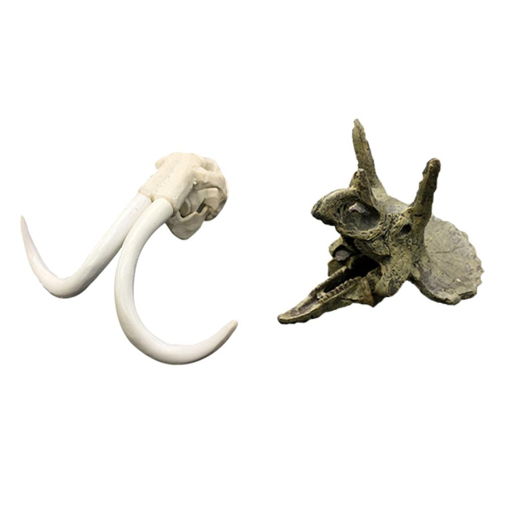 2Pcs Creative Animal Head Skull Aquarium Decoration Elephant Dragon Skull
