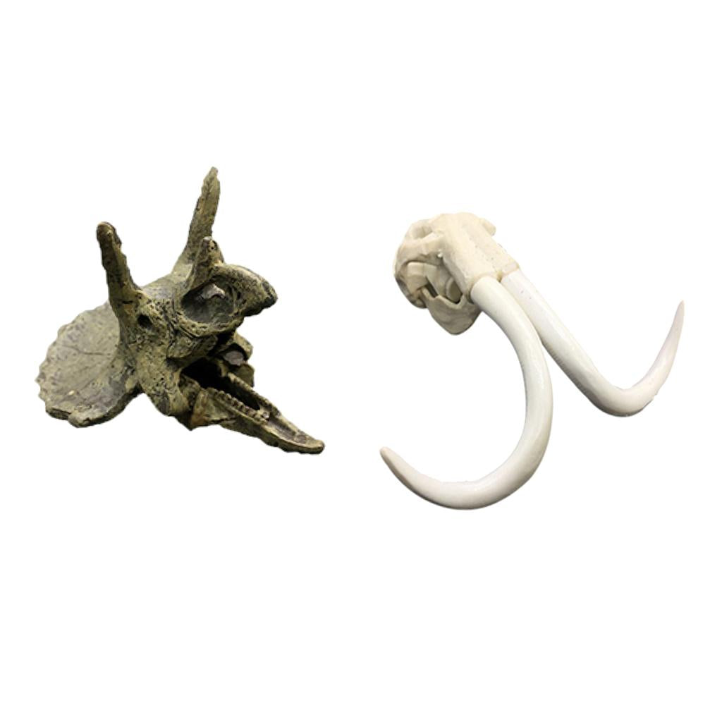 2Pcs Creative Animal Head Skull Aquarium Decoration Elephant Dragon Skull