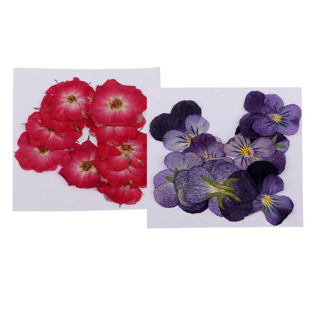 22 Pieces Rose Flower Violet Dried Pressed Flowers for Scrapbooking Crafts