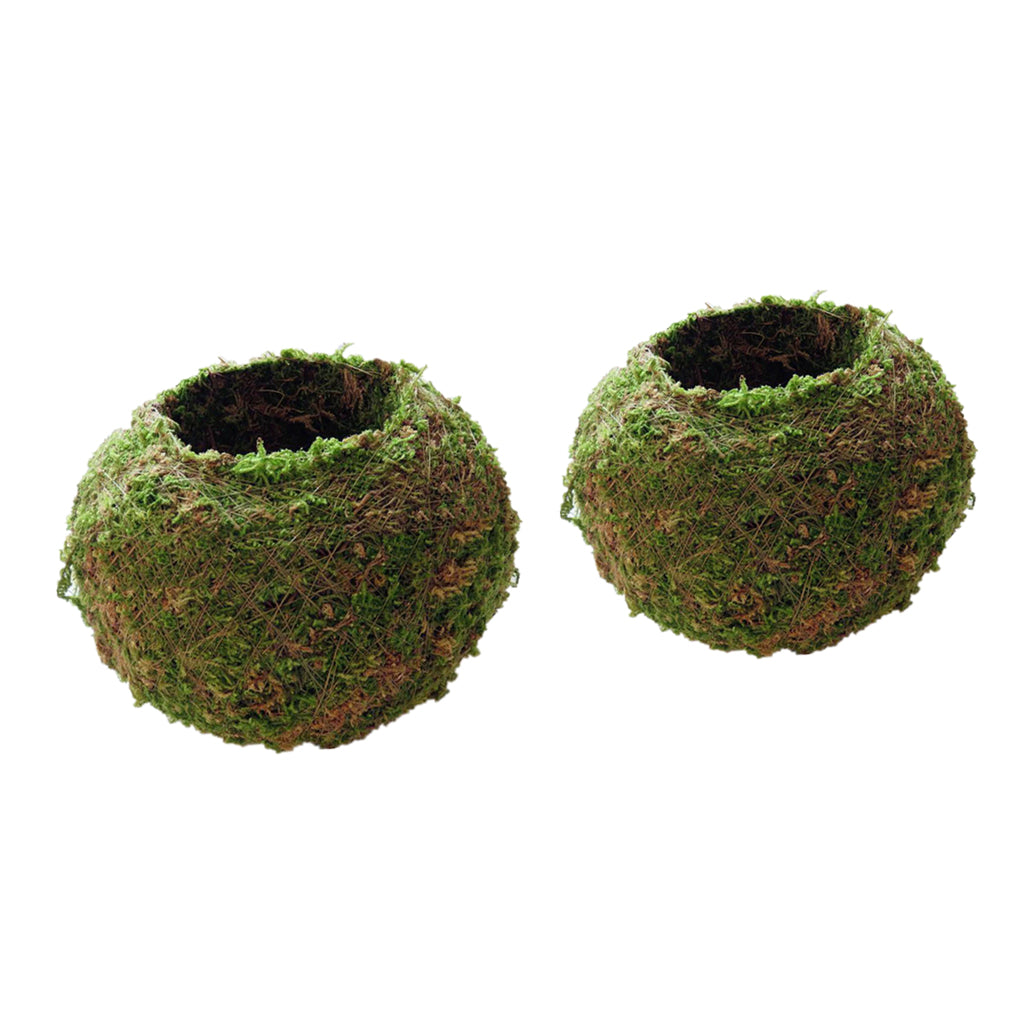 2Pc Creative Moss Ball Flower Pot Planter Bonsai Plant Holder Home 6cm & 9cm