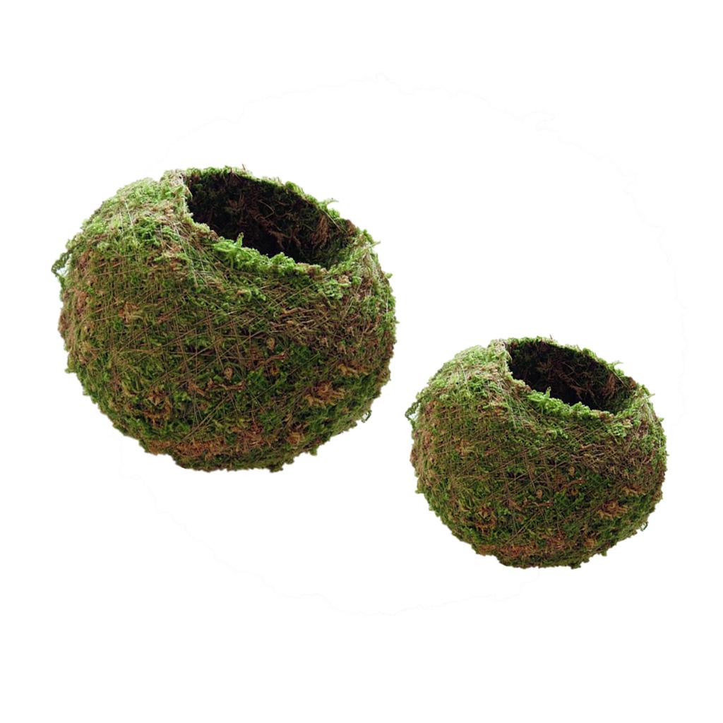 2Pc Creative Moss Ball Flower Pot Planter Bonsai Plant Holder Home 6cm& 12cm
