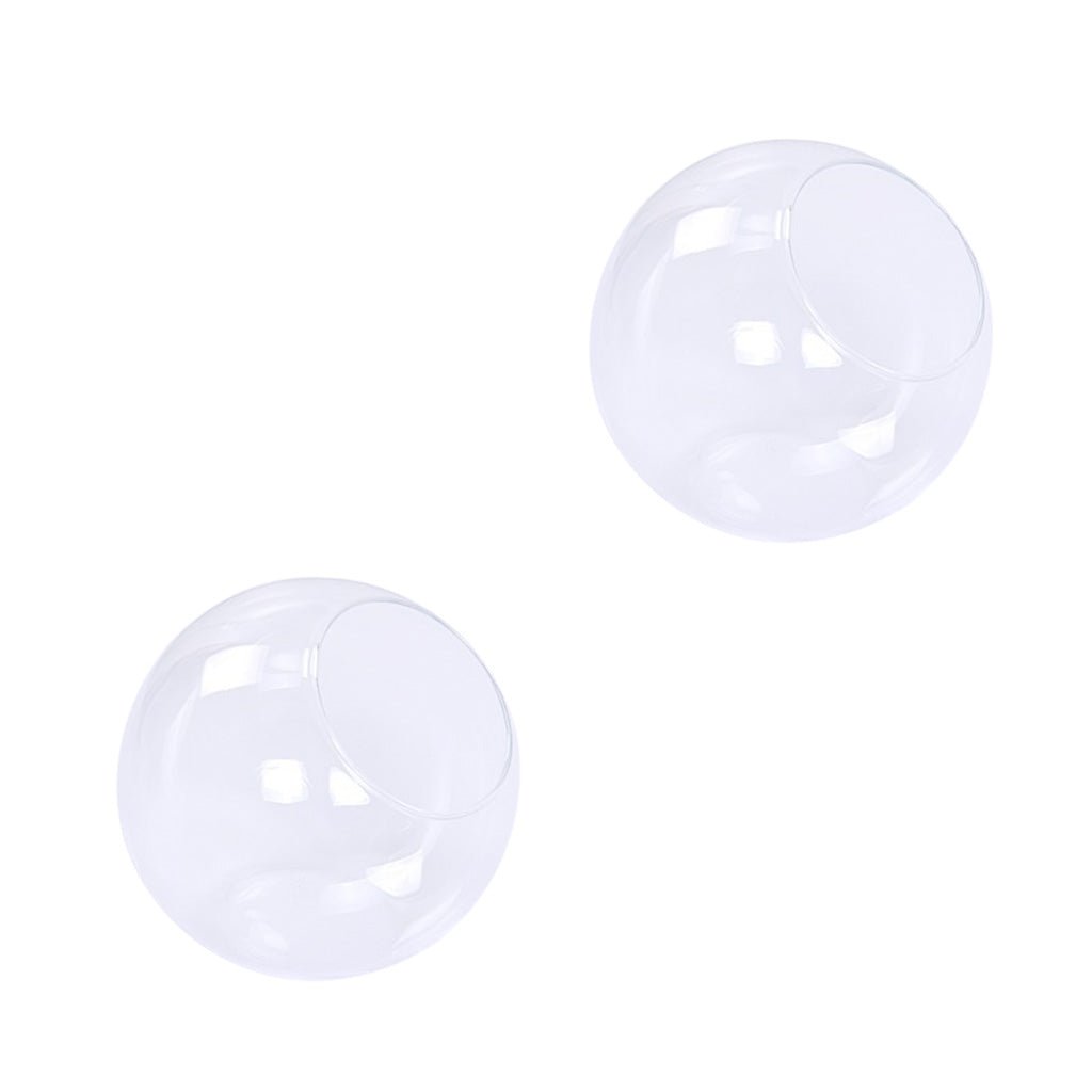 2pcs Glass Flower Vase Hydroponic Pot DIY Micro Landscape Terrarium Holder
