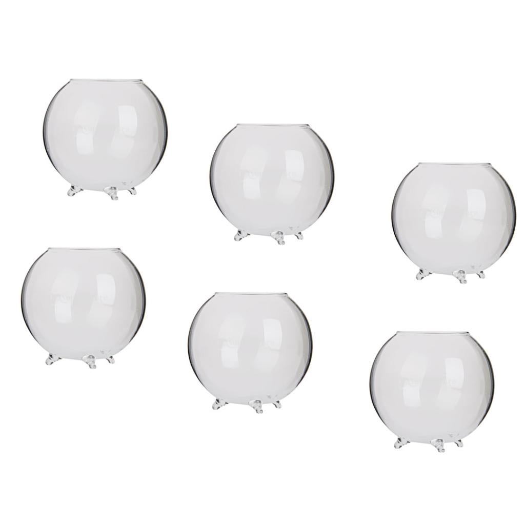 6x Glass Flower Vase Hydroponic Pot DIY Micro Landscape Terrarium Container