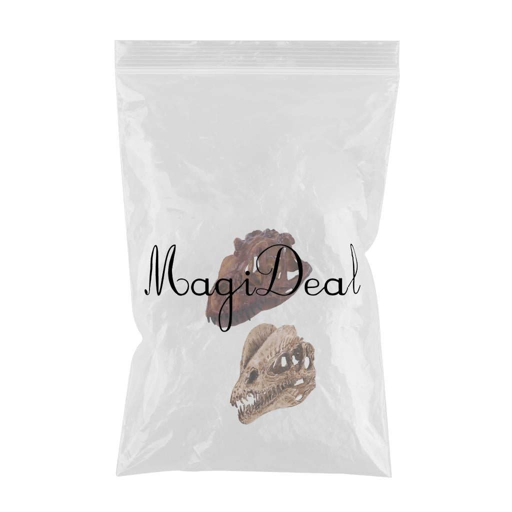 2Pcs Resin Dinosaur Skull Model Dilophosaurus And Ceratosaurus Collectibles