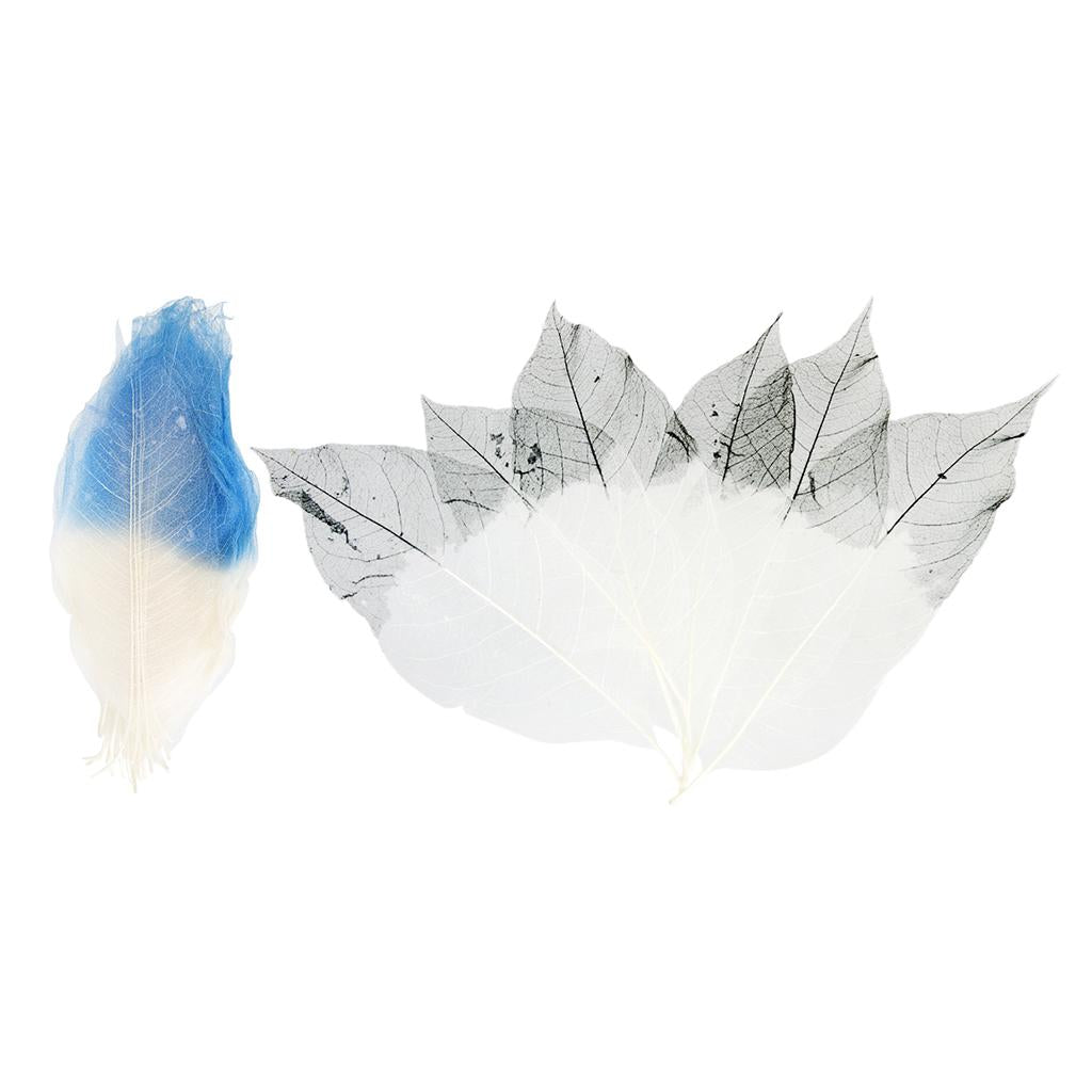100 Pieces Natural Magnolia Skeleton Leaves Card Scrapbooking Embossing DIY