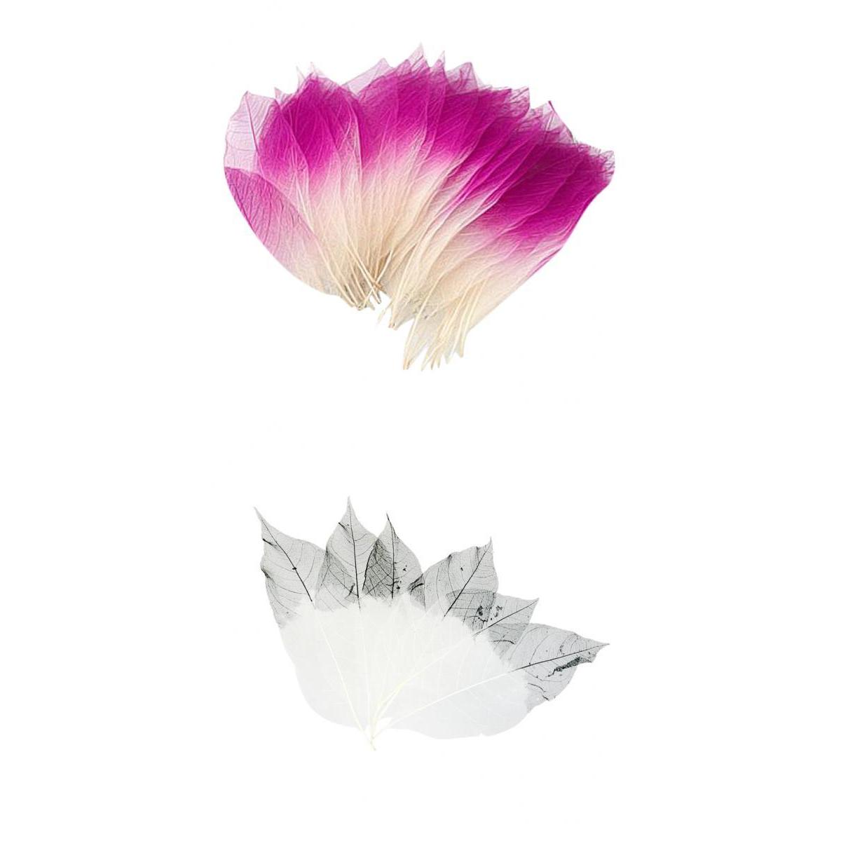 100 Pieces Natural Magnolia Skeleton Leaves Card Scrapbooking Embellishment