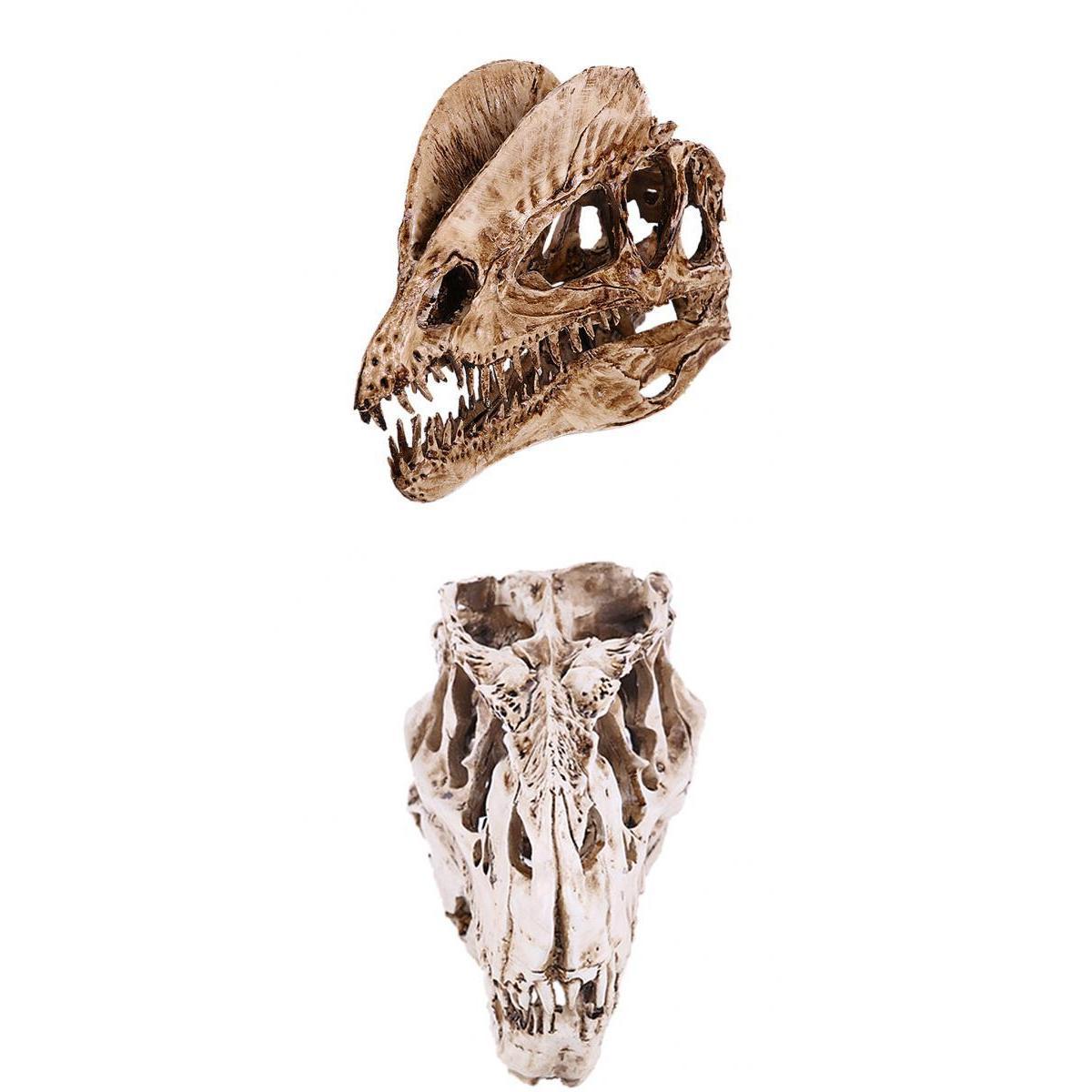 2Pcs Resin Dinosaur Skull Model T-rex And Dilophosaurus Skeleton Figurine