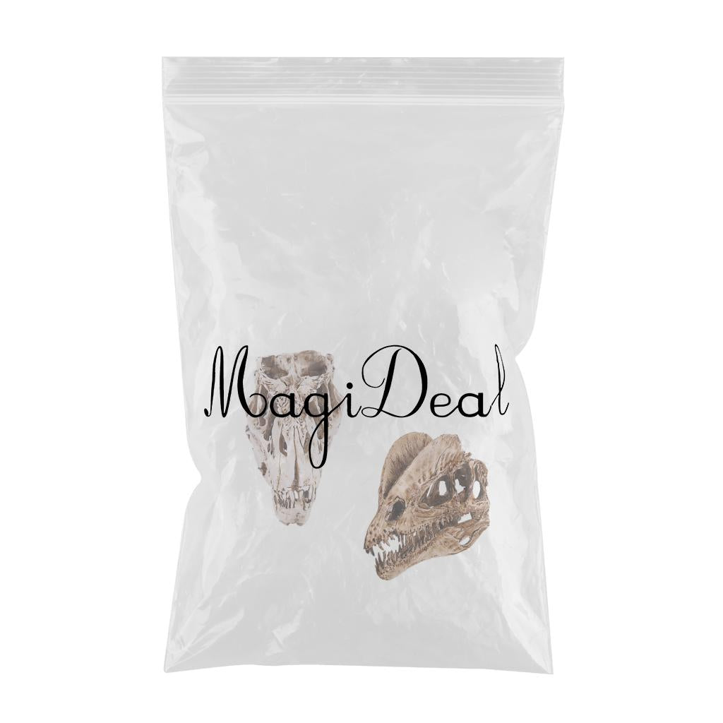 2Pcs Resin Dinosaur Skull Model T-rex And Dilophosaurus Skeleton Figurine