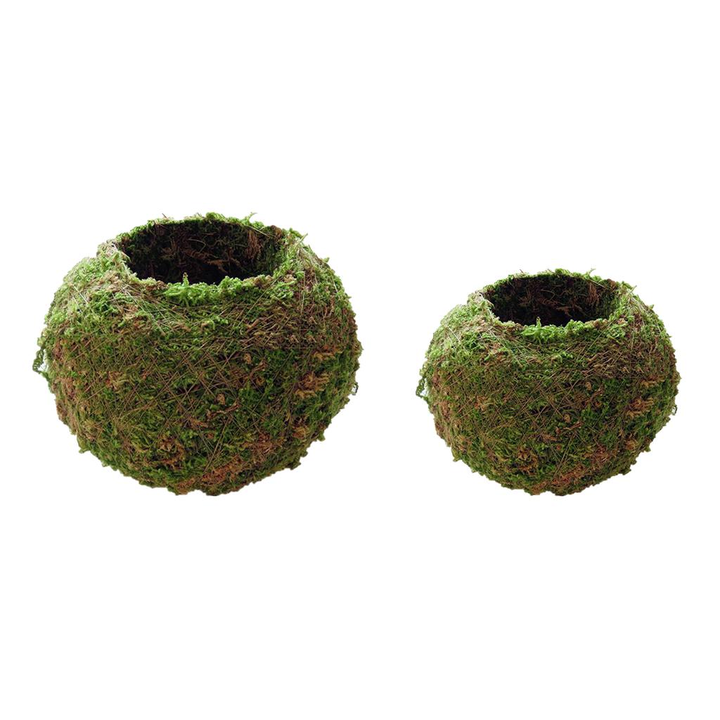 2pcs Creative Moss Ball Flower Pot Planter Bonsai Plant Holder Home Garden