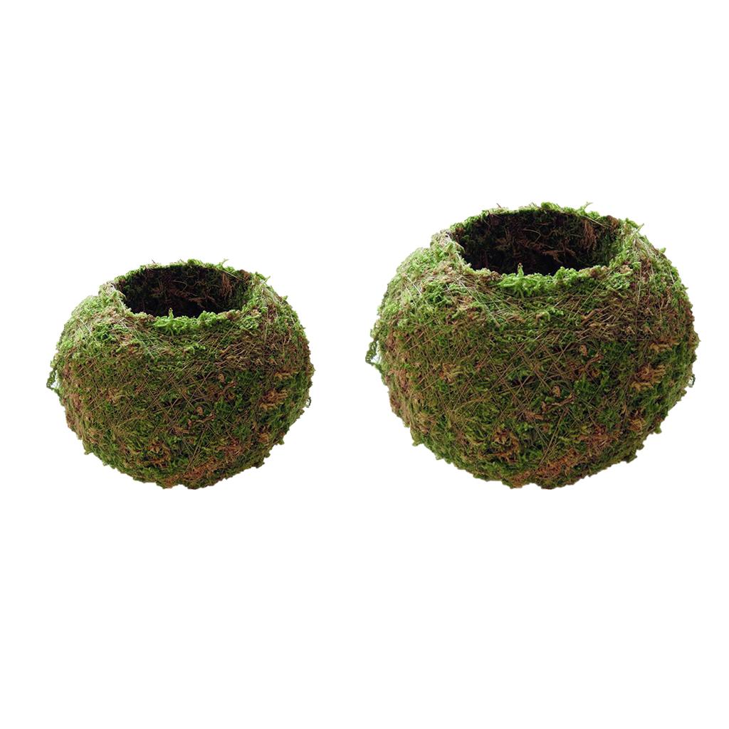 2pcs Creative Moss Ball Flower Pot Planter Bonsai Plant Holder Home Garden