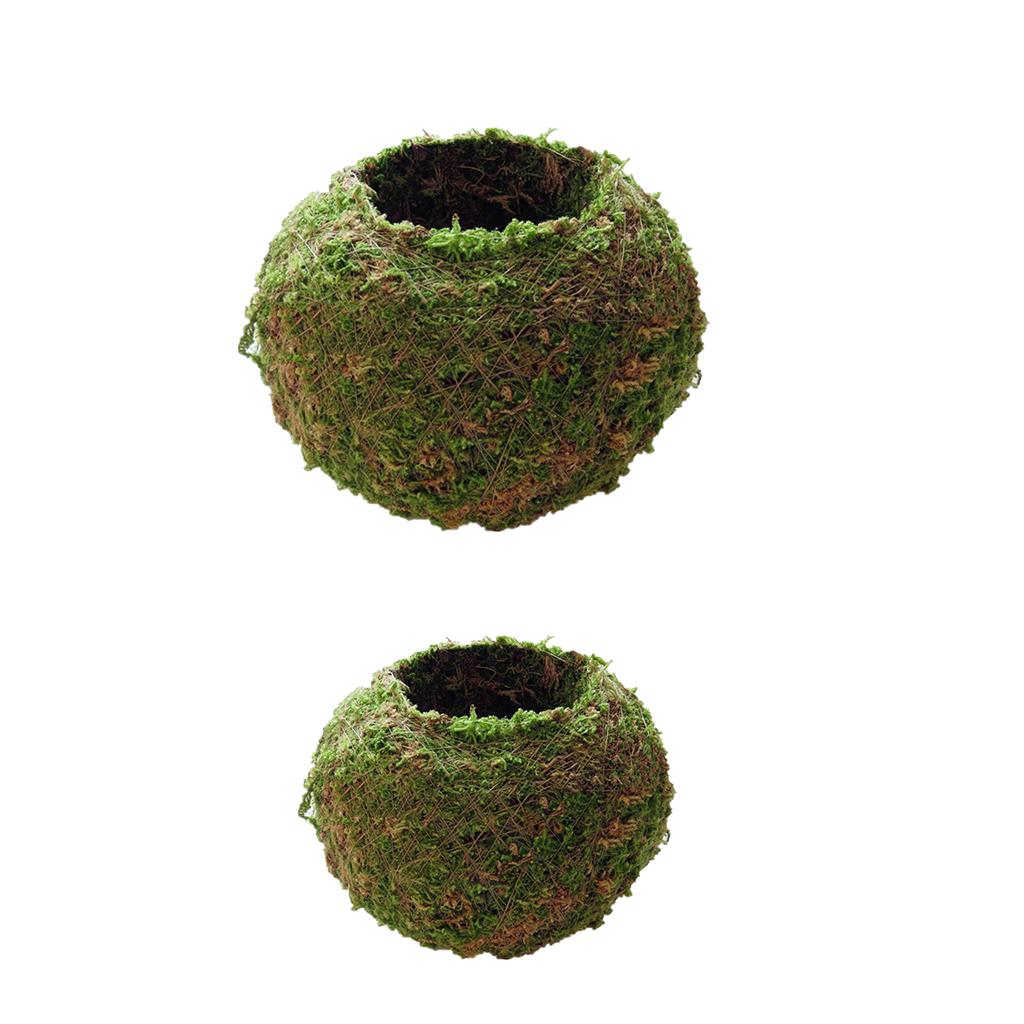 2pcs Creative Moss Ball Flower Pot Planter Bonsai Plant Holder Home Garden