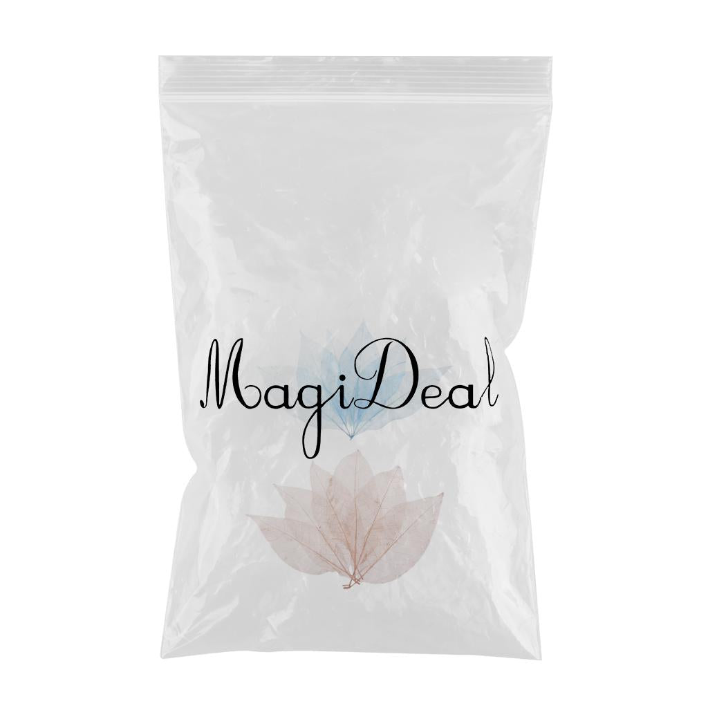 100Pcs Natural Magnolia Skeleton Leaf Card Scrapbook Leaves Blue and Brown
