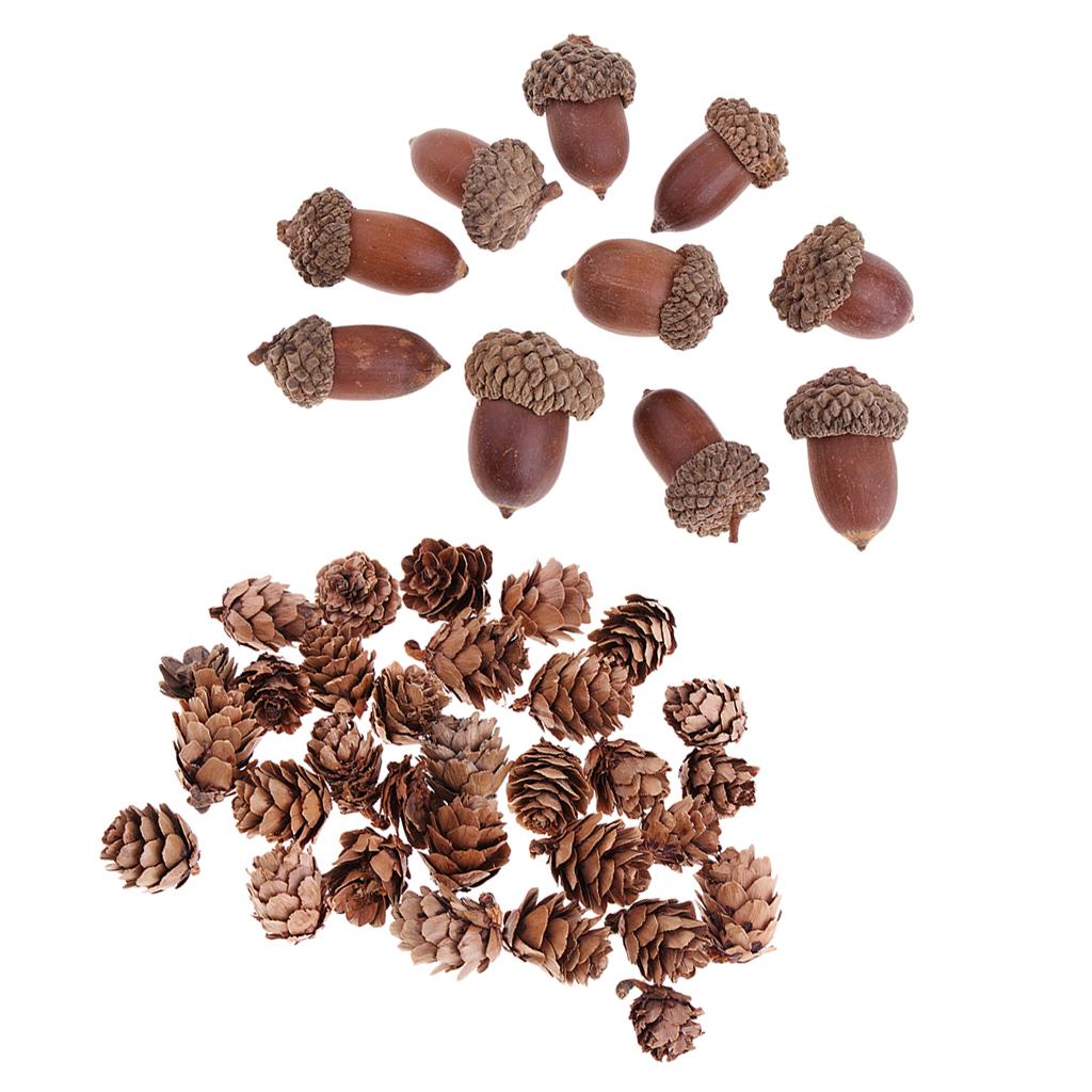 40 Pieces Natural Pine Cones Acorns Dried Table Ornament Home Decoration DIY