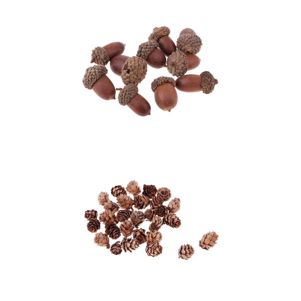 40 Pieces Natural Pine Cones Acorns Dried Table Ornament Home Decoration DIY