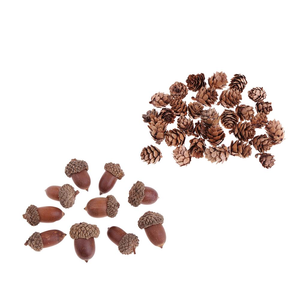 40 Pieces Natural Pine Cones Acorns Dried Table Ornament Home Decoration DIY