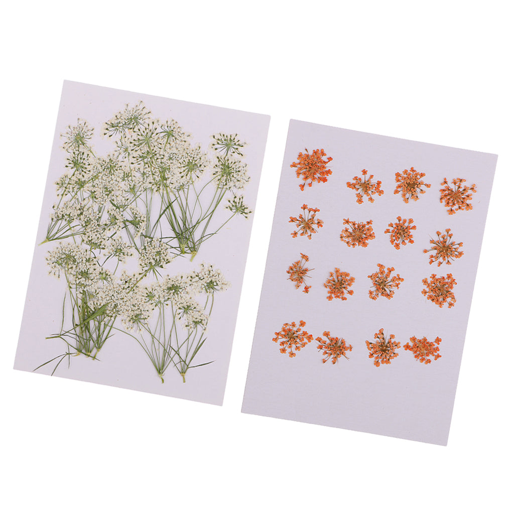 16x None Branch +10 Pcs Branched Pressed Dried Flowers DIY Embossed Flower
