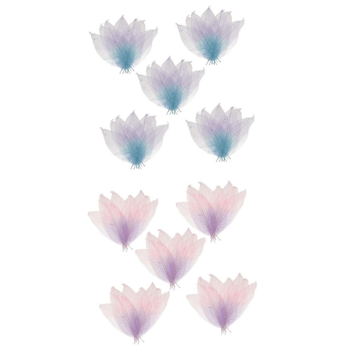 100x Natural Magnolia Skeleton Leaf DIY Crafts Leaves Decors Mixed Color