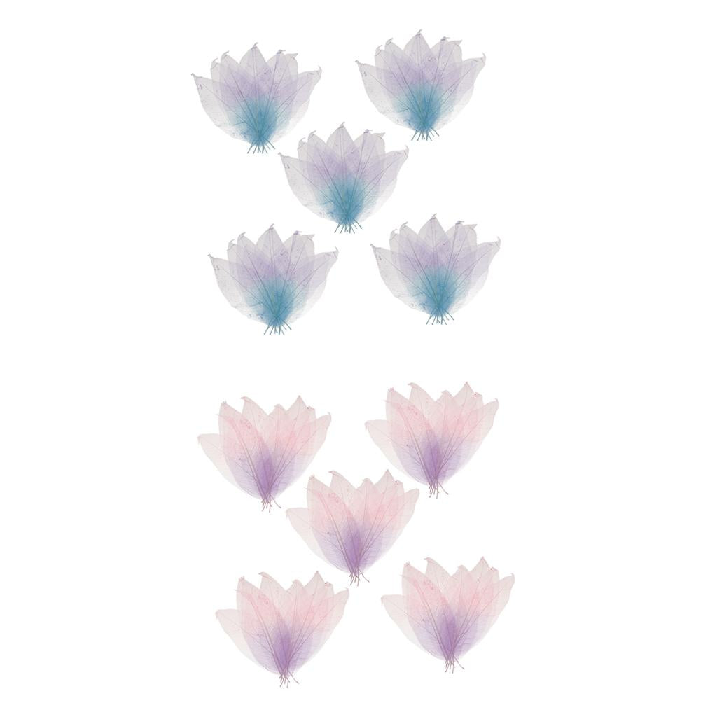 100x Natural Magnolia Skeleton Leaf DIY Crafts Leaves Decors Mixed Color
