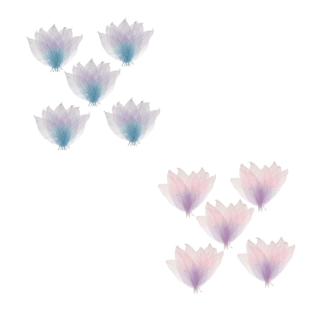 100x Natural Magnolia Skeleton Leaf DIY Crafts Leaves Decors Mixed Color