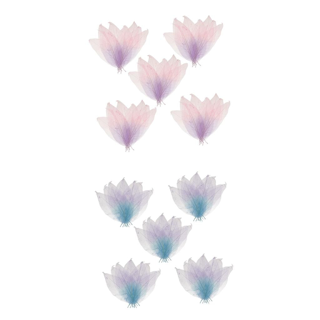 100x Natural Magnolia Skeleton Leaf DIY Crafts Leaves Decors Mixed Color