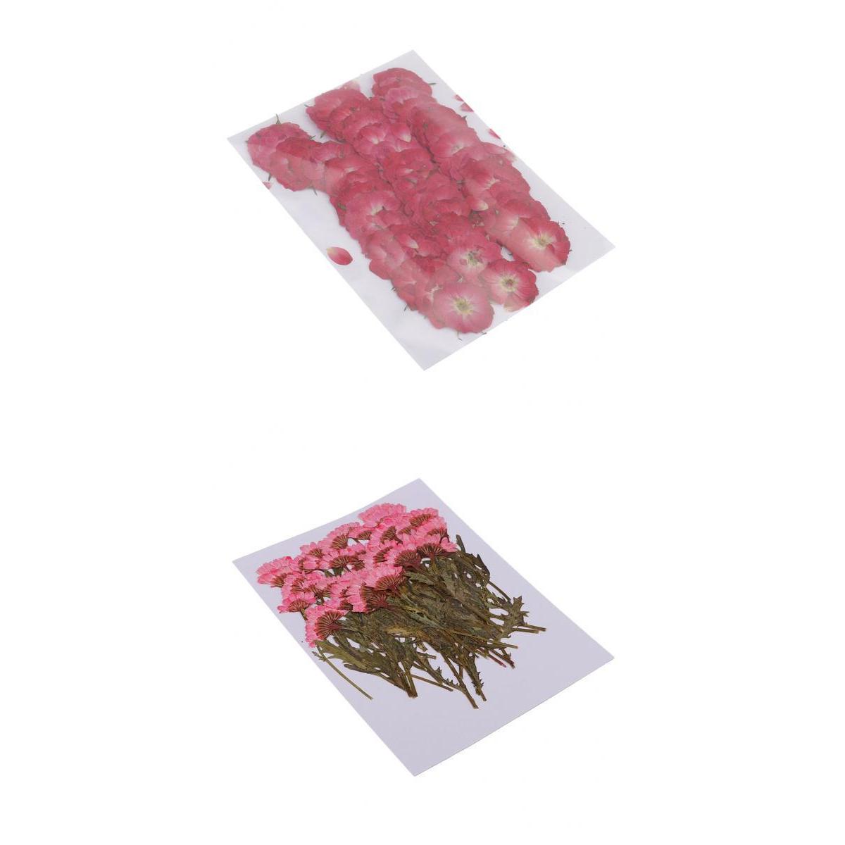 50x None Branch +50 Pcs Branched Pressed Dried Flowers DIY Embossed Flowers