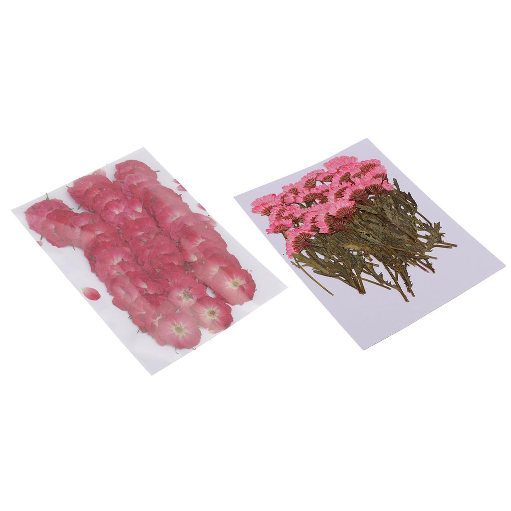 50x None Branch +50 Pcs Branched Pressed Dried Flowers DIY Embossed Flowers
